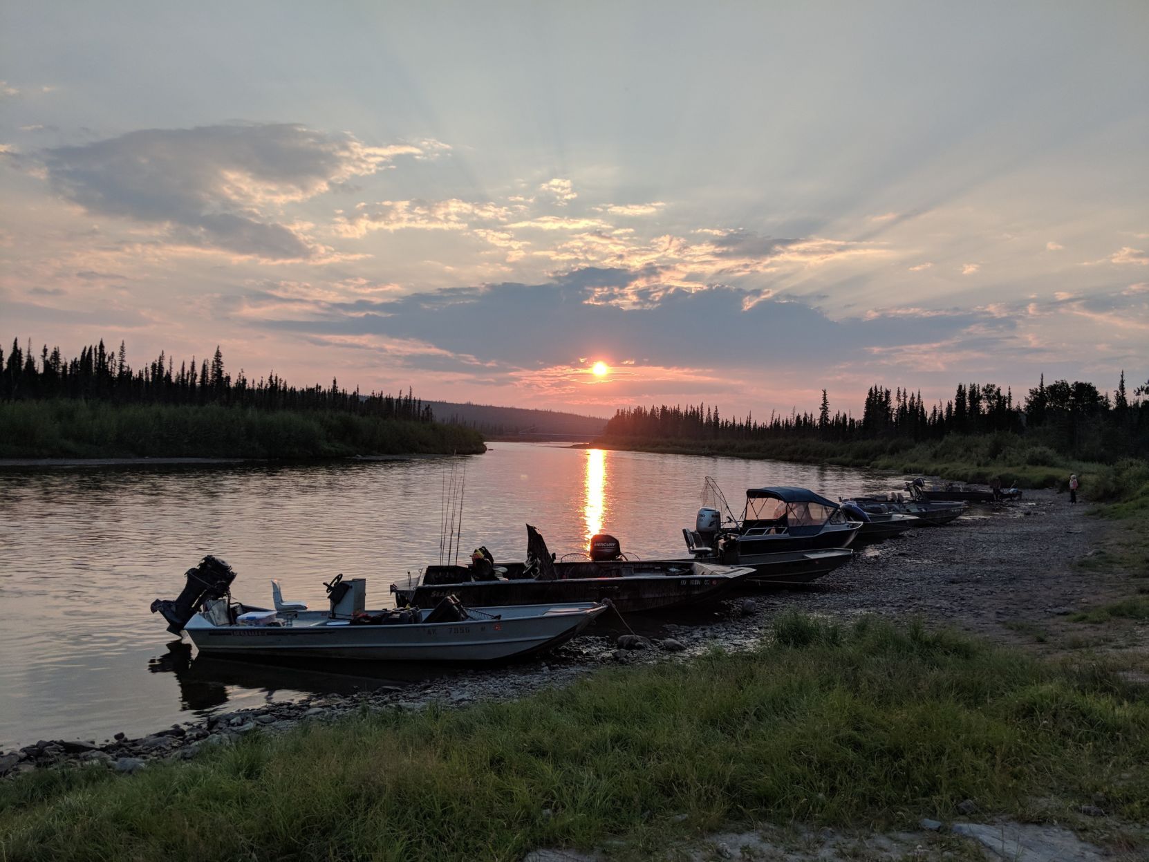 Summer on the Gulkana